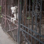 Bucharest 20 