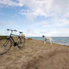 Læsø dog 3