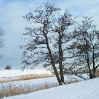 Denmark, Charlottenlund Fort 3