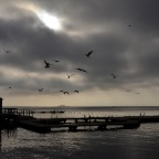 Denmark, Charlottenlund bathing house