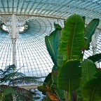 Glasgow, botanic 3