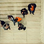 People's Palace 8