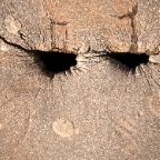 Holes, Dalston E8 
