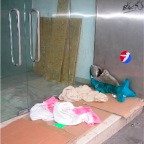 Corporate Shark, E1